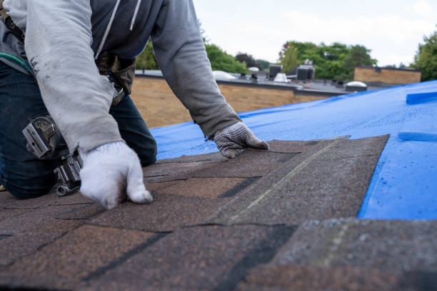 Best Shingle Roofing Installation  in Midway, GA